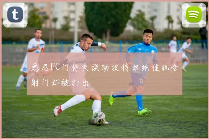 悉尼FC门将失误助攻特尔绝佳机会射门却被扑出