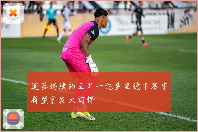道苏姆续约五年一亿多里德下赛季有望首发大前锋